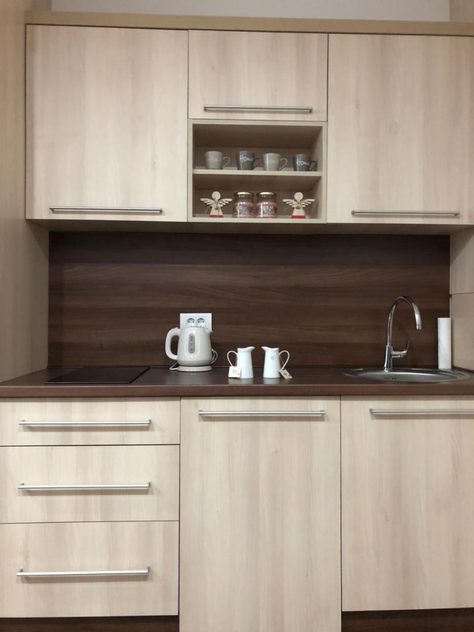 Apartmani Air 科帕奥尼克 外观 照片